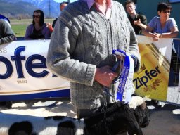 2019_ausstellung polling_476